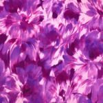 Fabric Ref 5593 - Abstract Floral Cotton