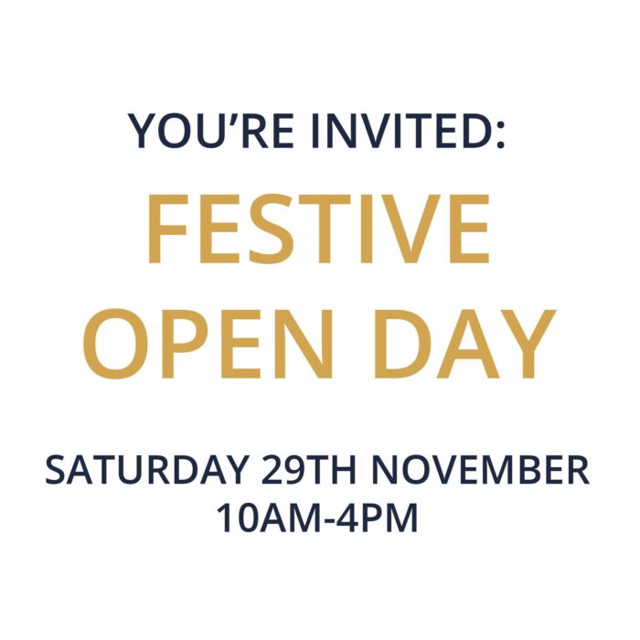 Festive Open Day Ticket 1.30-4pm - Image 1
